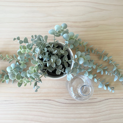 French Farmhouse Dining Table